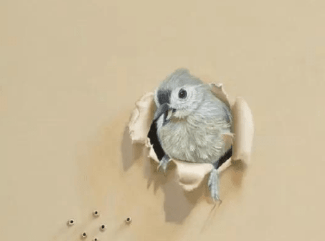 ͼƬ.png