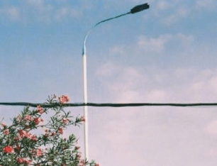 ͼƬ.png