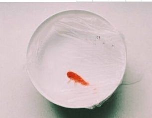 ͼƬ.png