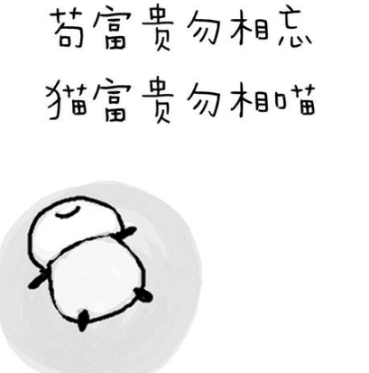ͼƬ.png