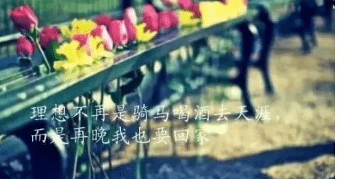 ͼƬ.png