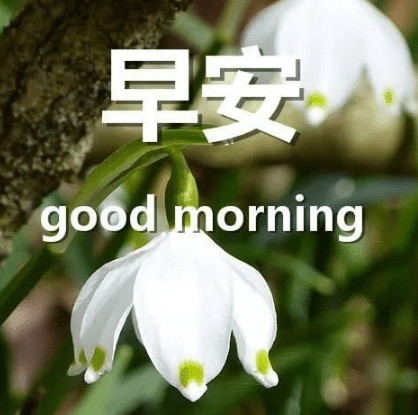 ͼƬ.png