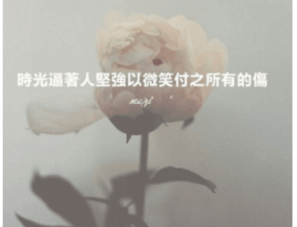 ͼƬ.png