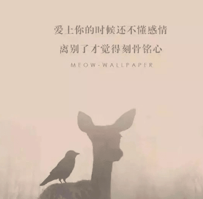 ͼƬ.png