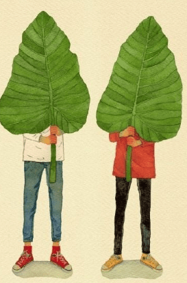 ͼƬ.png