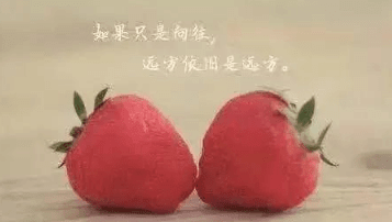 ͼƬ.png