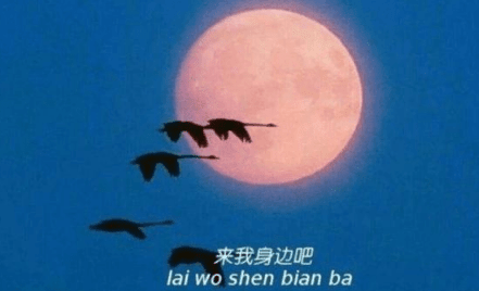 ͼƬ.png
