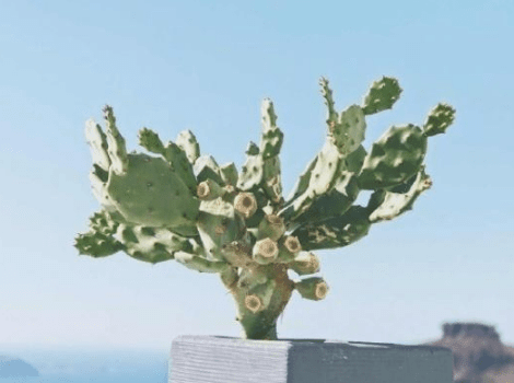 ͼƬ.png