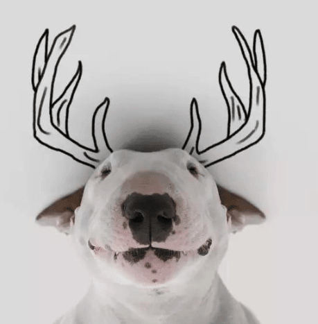 ͼƬ.png