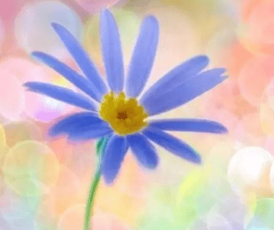ͼƬ.png