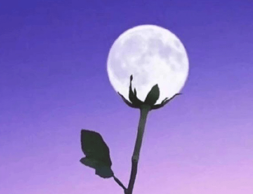 ͼƬ.png