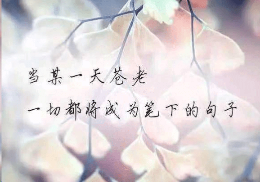 ͼƬ.png