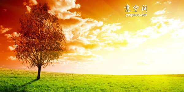 20ľӣĵľӣľ